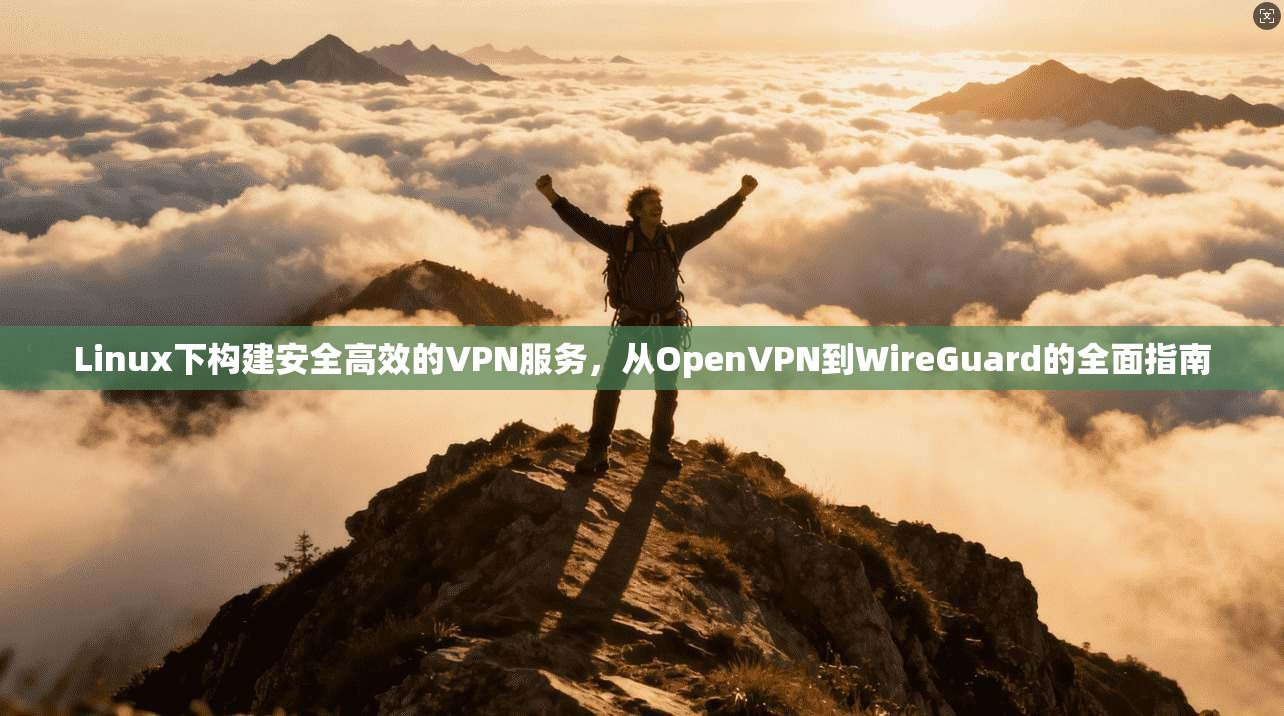 Linux下构建安全高效的VPN服务,从OpenVPN到WireGuard的全面指南