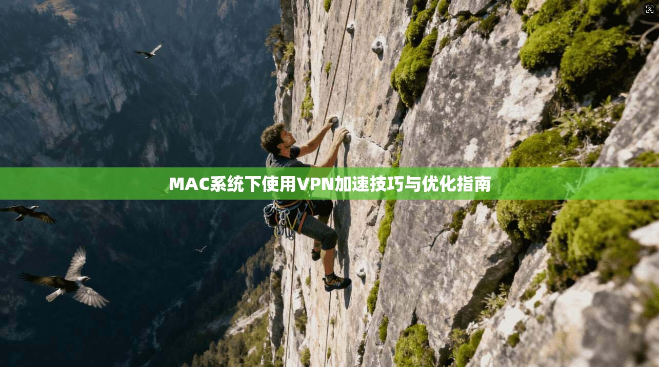 MAC系统下使用VPN加速技巧与优化指南