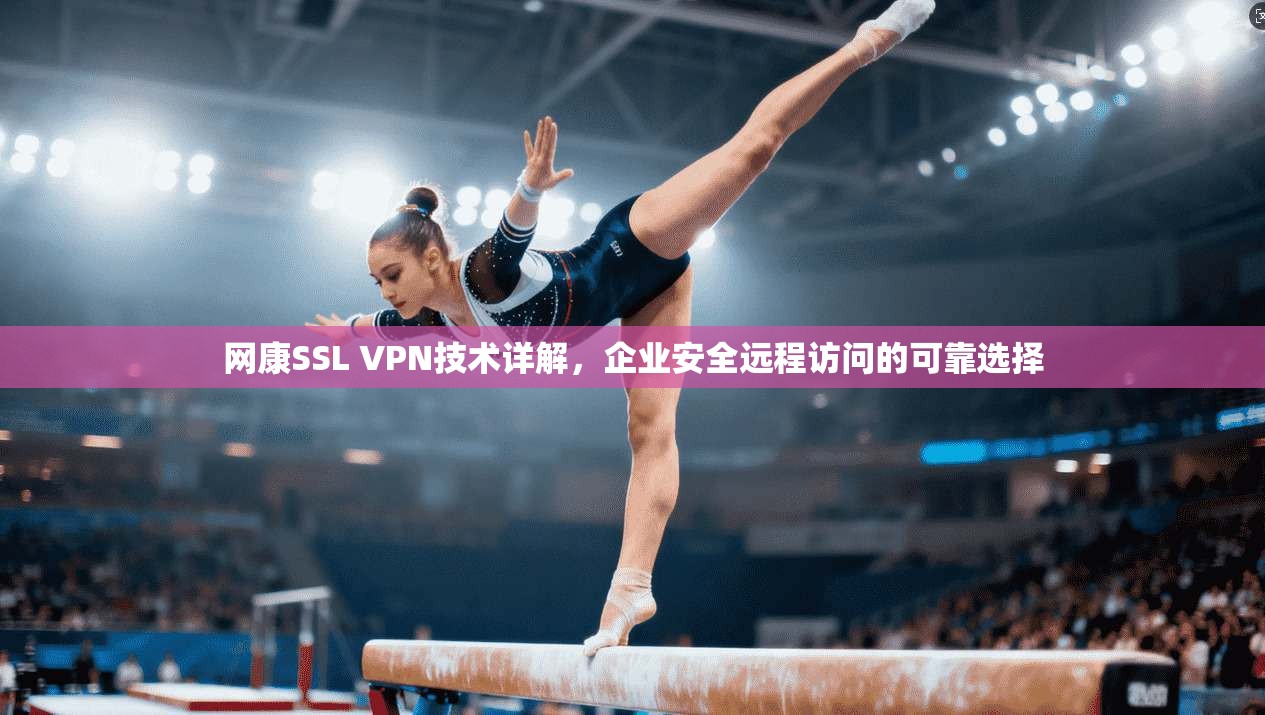 网康SSL VPN技术详解,企业安全远程访问的可靠选择