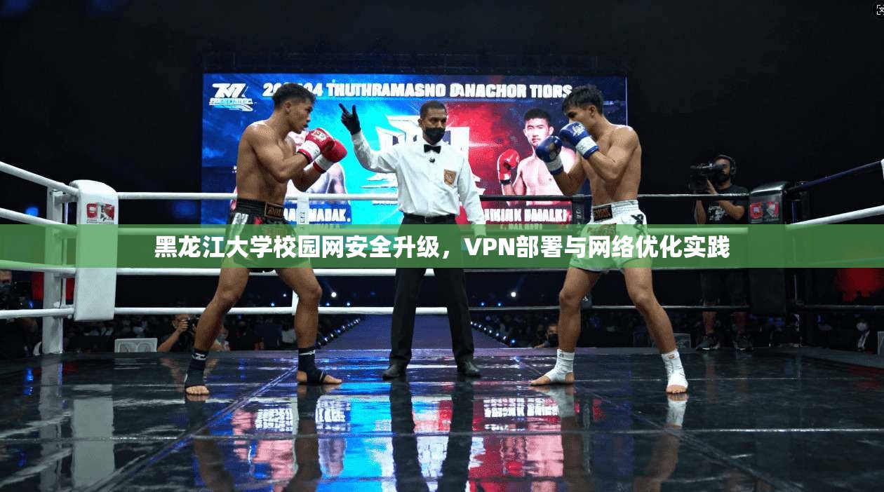 黑龙江大学校园网安全升级,VPN部署与网络优化实践