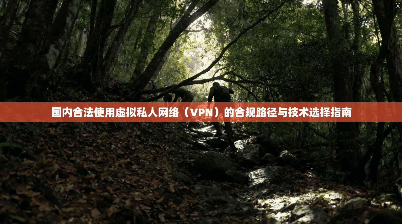 国内合法使用虚拟私人网络(VPN)的合规路径与技术选择指南