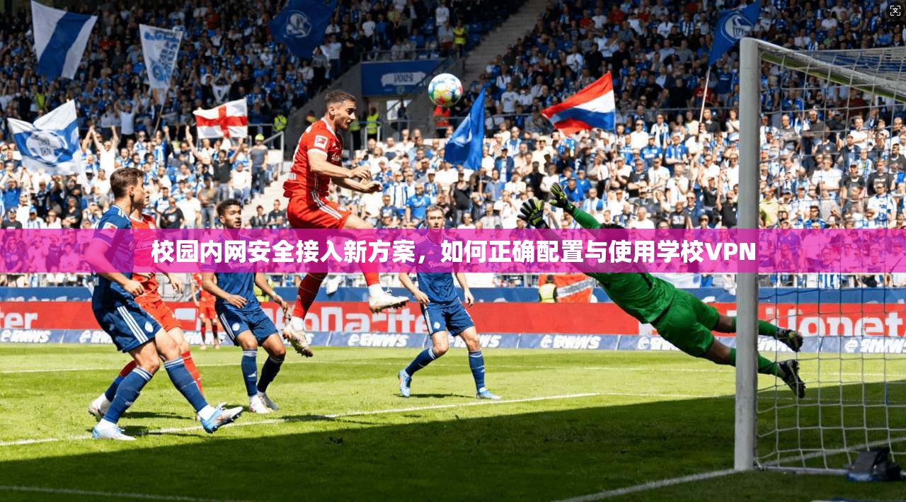 校园内网安全接入新方案,如何正确配置与使用学校VPN