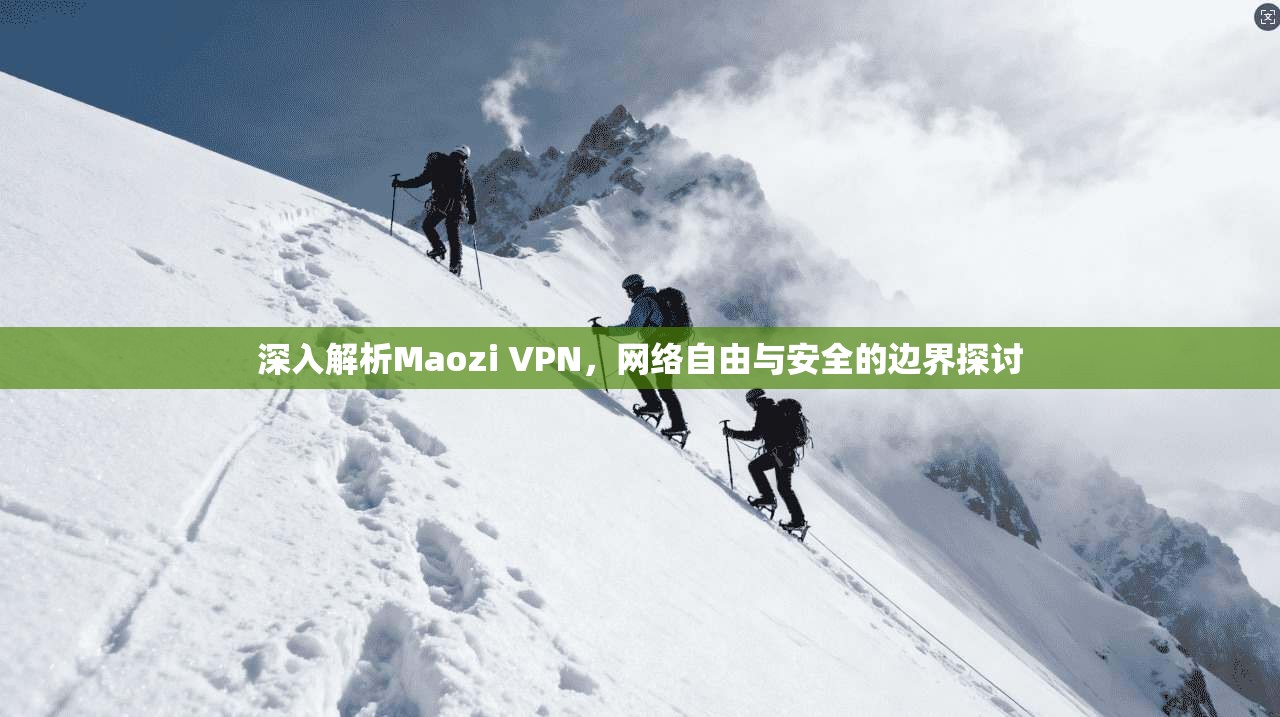 深入解析Maozi VPN，网络自由与安全的边界探讨