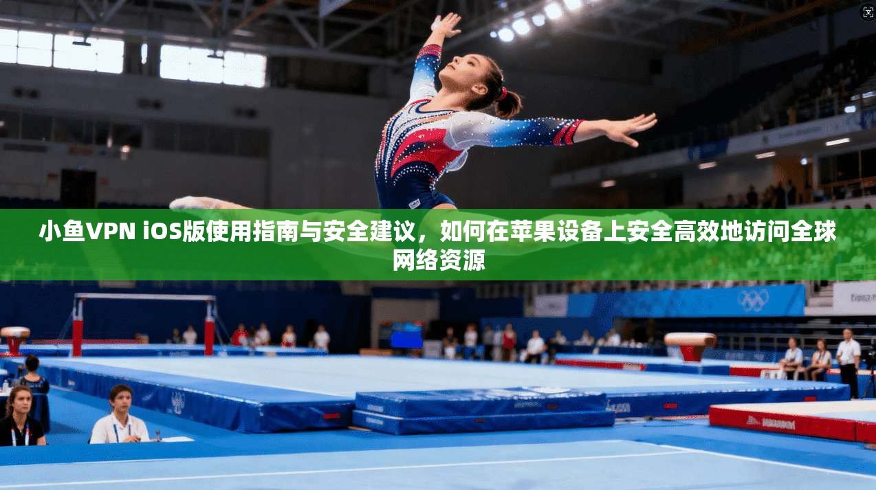 小鱼VPN iOS版使用指南与安全建议,如何在苹果设备上安全高效地访问全球网络资源