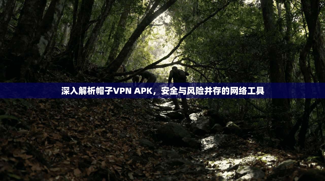 深入解析帽子VPN APK，安全与风险并存的网络工具