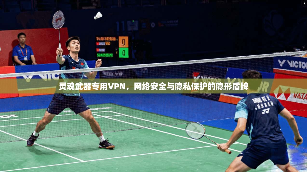 灵魂武器专用VPN，网络安全与隐私保护的隐形盾牌