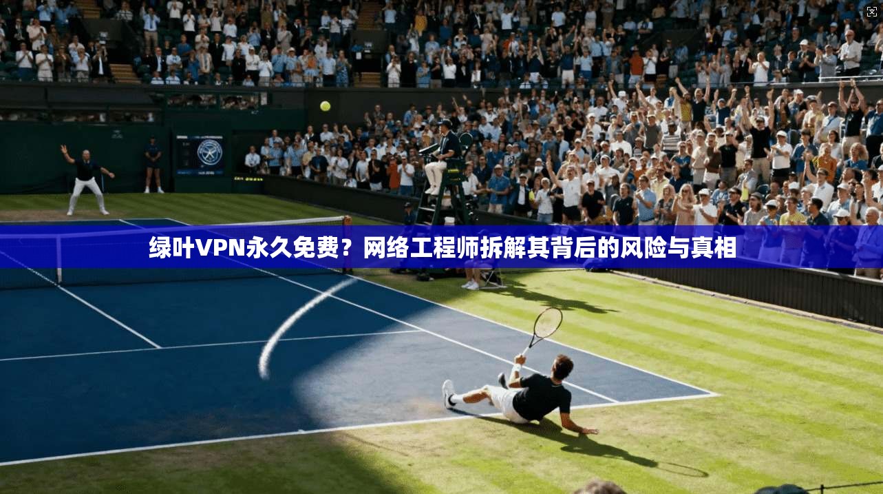 绿叶VPN永久免费？网络工程师拆解其背后的风险与真相