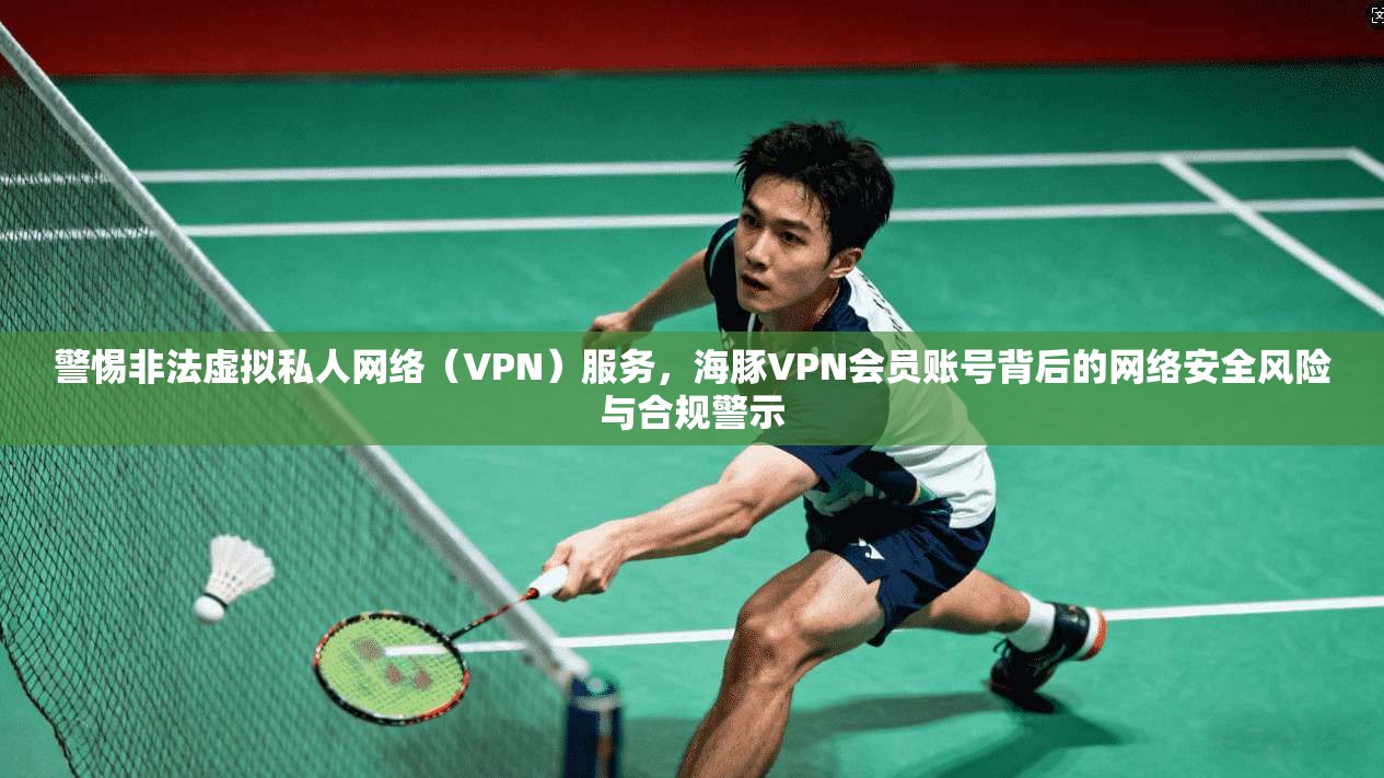 警惕非法虚拟私人网络（VPN）服务，海豚VPN会员账号背后的网络安全风险与合规警示