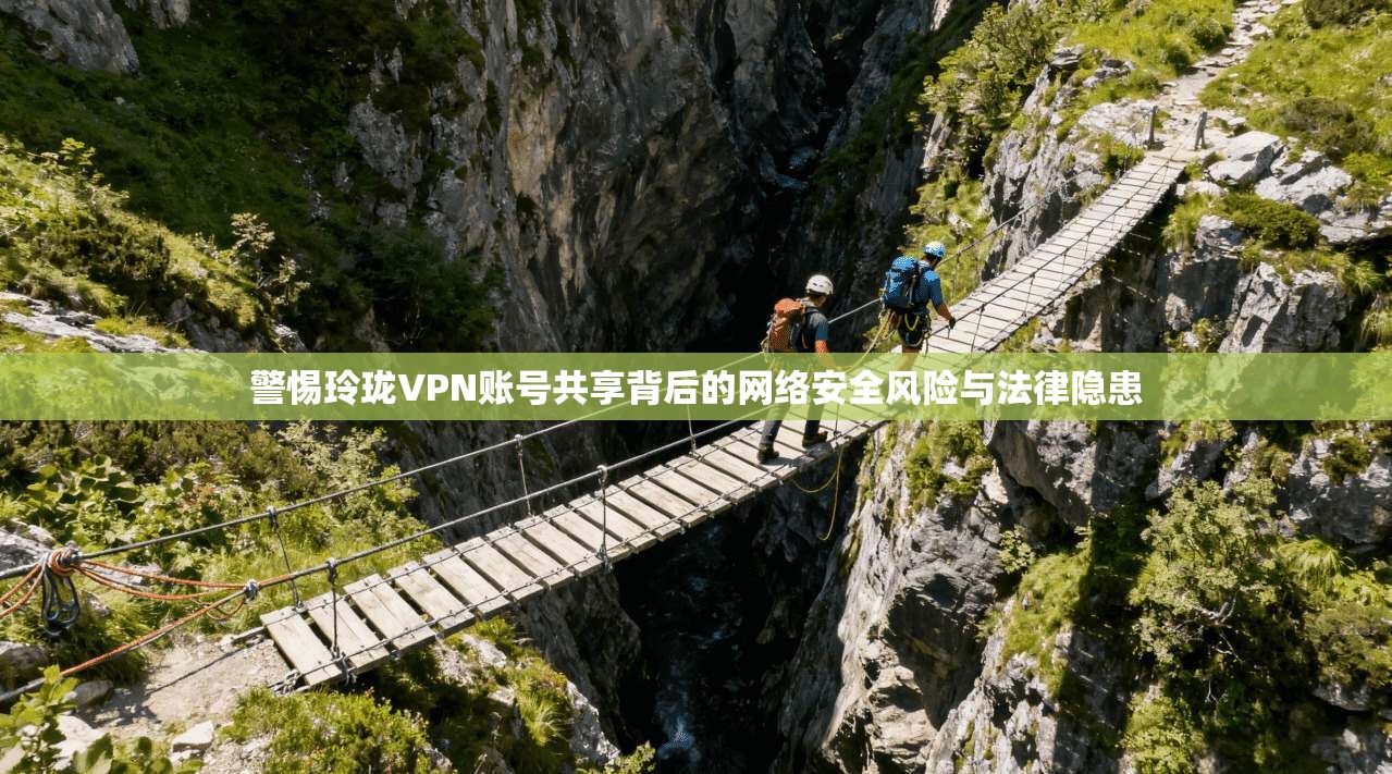 警惕玲珑VPN账号共享背后的网络安全风险与法律隐患