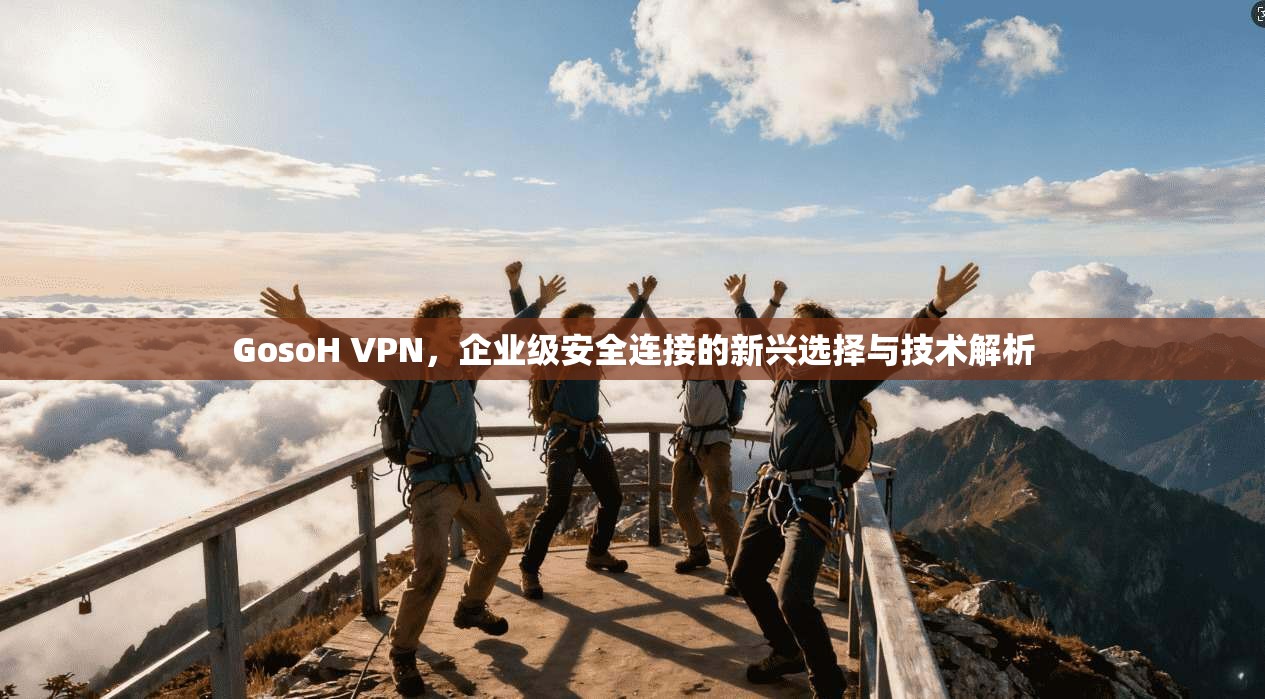 GosoH VPN，企业级安全连接的新兴选择与技术解析