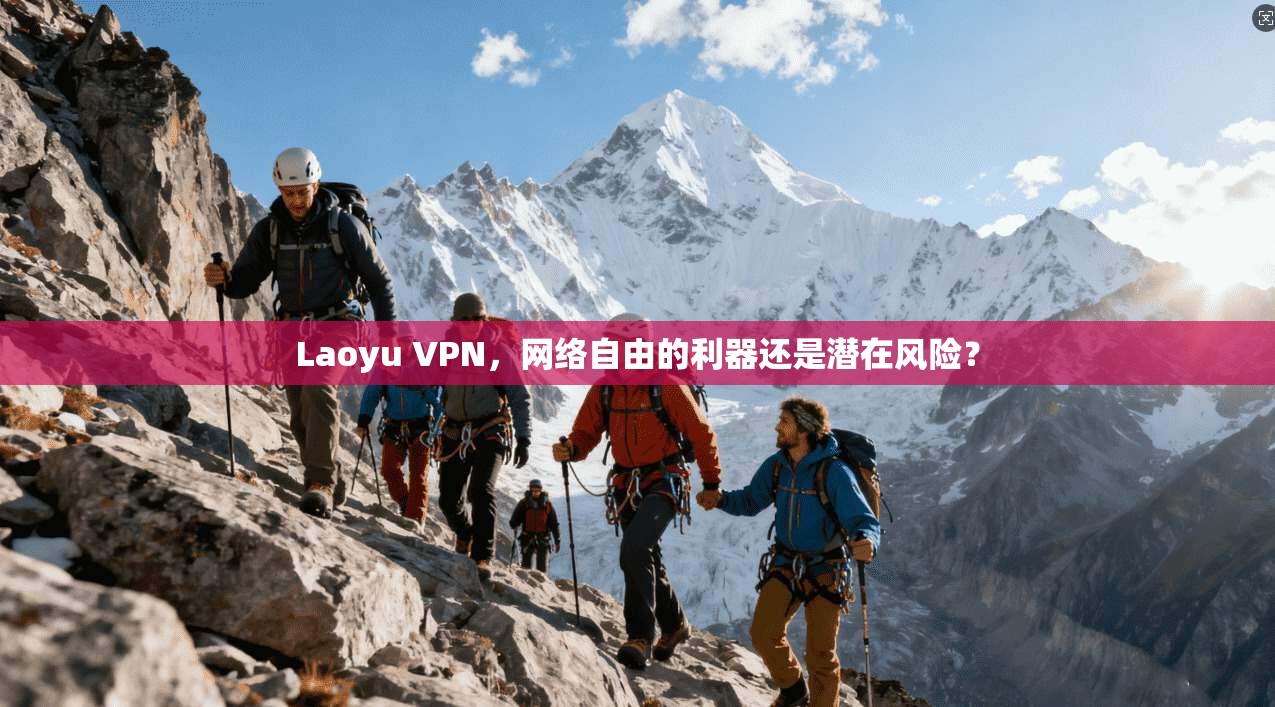 Laoyu VPN，网络自由的利器还是潜在风险？
