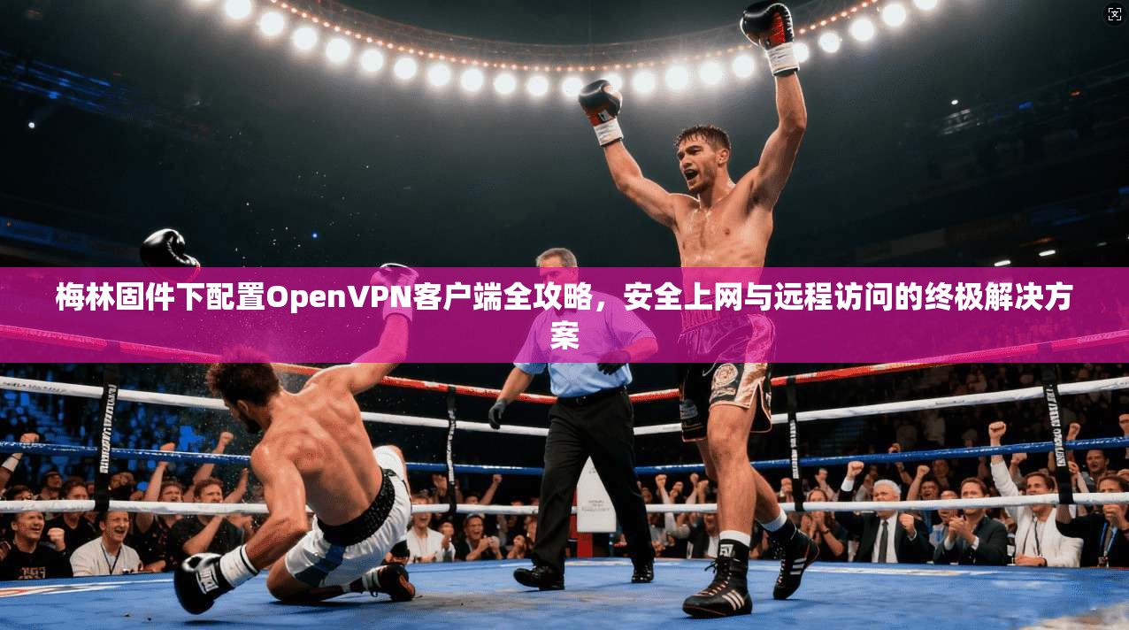 梅林固件下配置OpenVPN客户端全攻略，安全上网与远程访问的终极解决方案