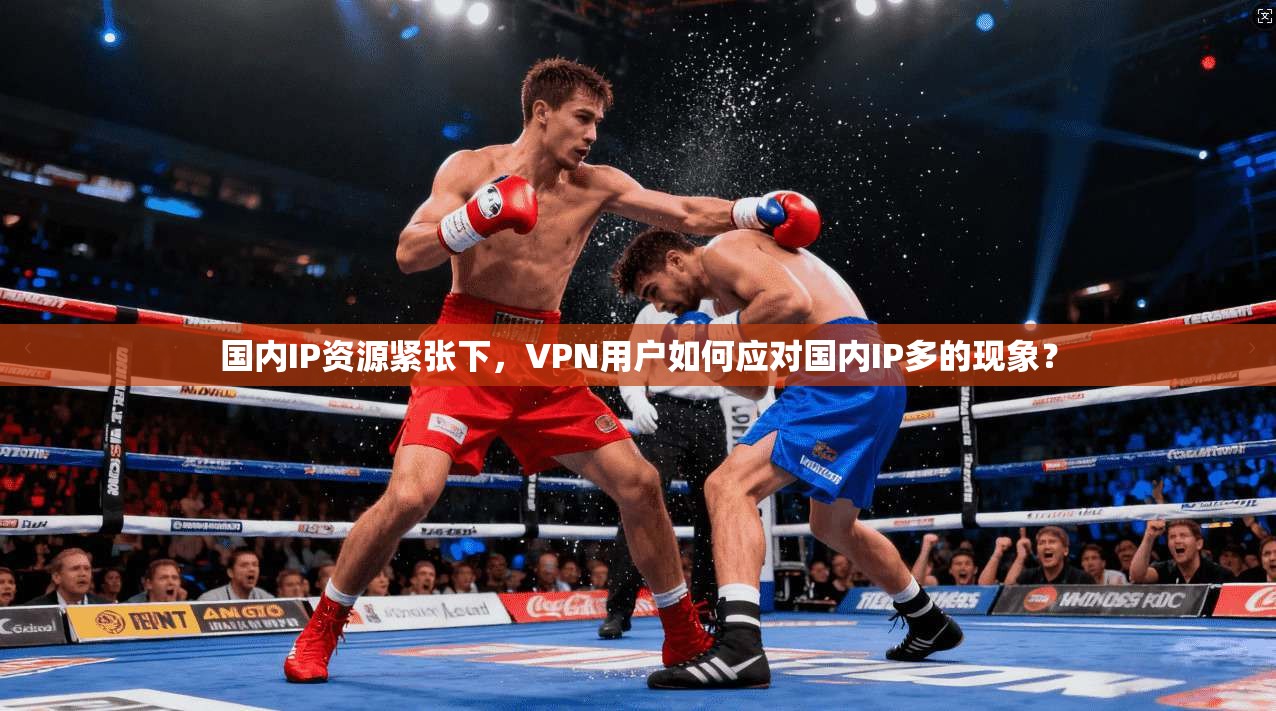国内IP资源紧张下，VPN用户如何应对国内IP多的现象？