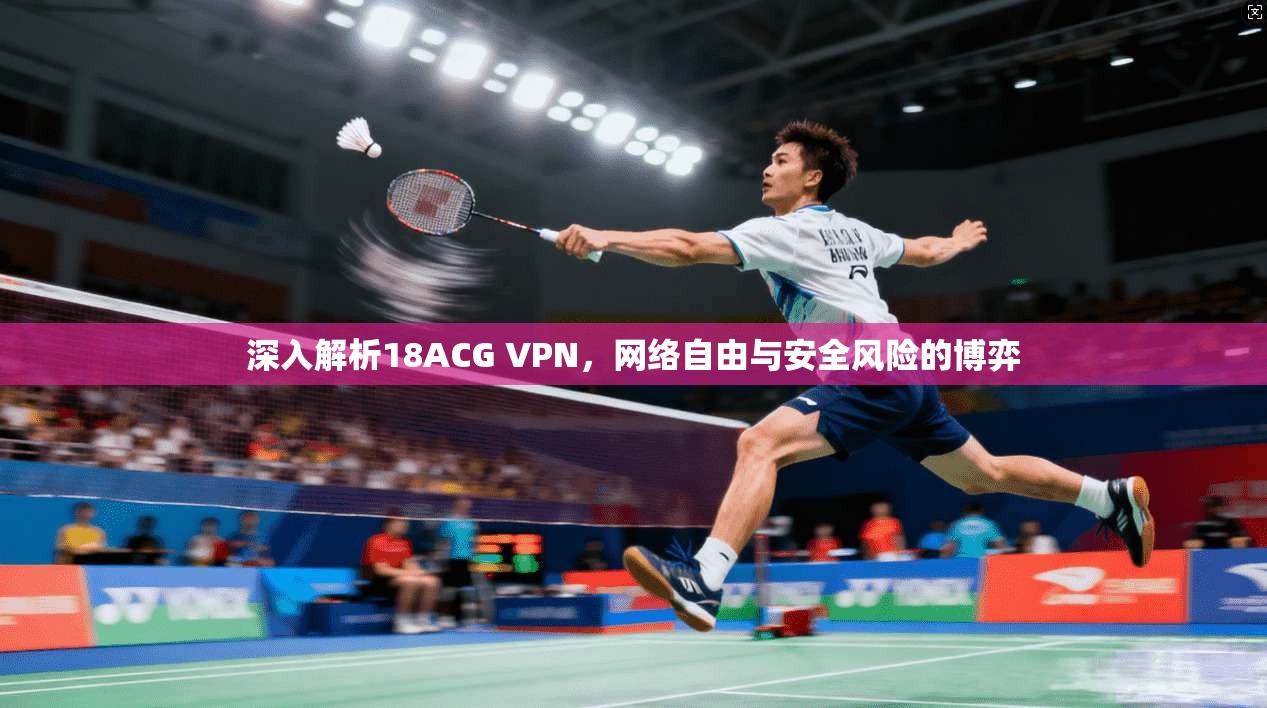 深入解析18ACG VPN，网络自由与安全风险的博弈