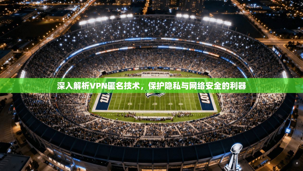 深入解析VPN匿名技术，保护隐私与网络安全的利器