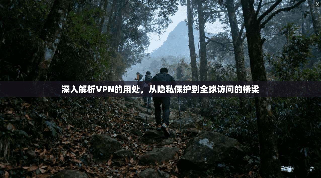 深入解析VPN的用处，从隐私保护到全球访问的桥梁