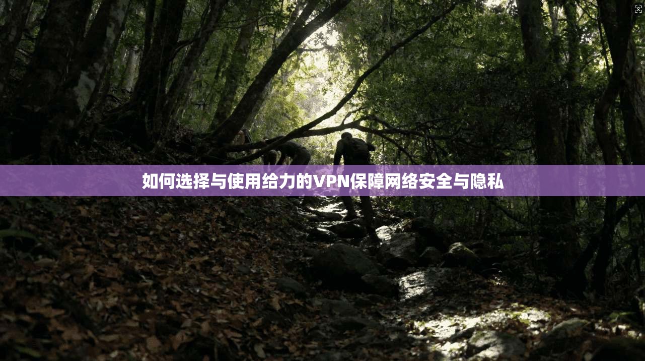 如何选择与使用给力的VPN保障网络安全与隐私