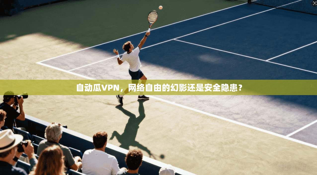 自动瓜VPN，网络自由的幻影还是安全隐患？