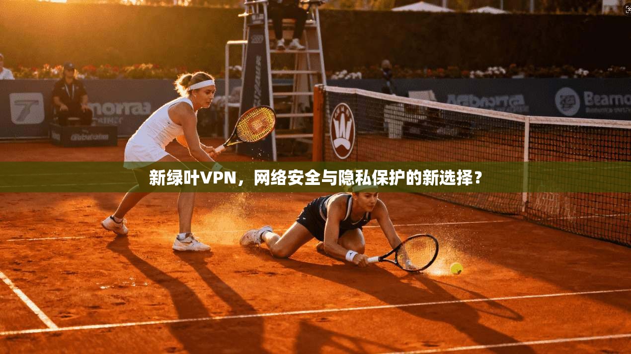 新绿叶VPN，网络安全与隐私保护的新选择？