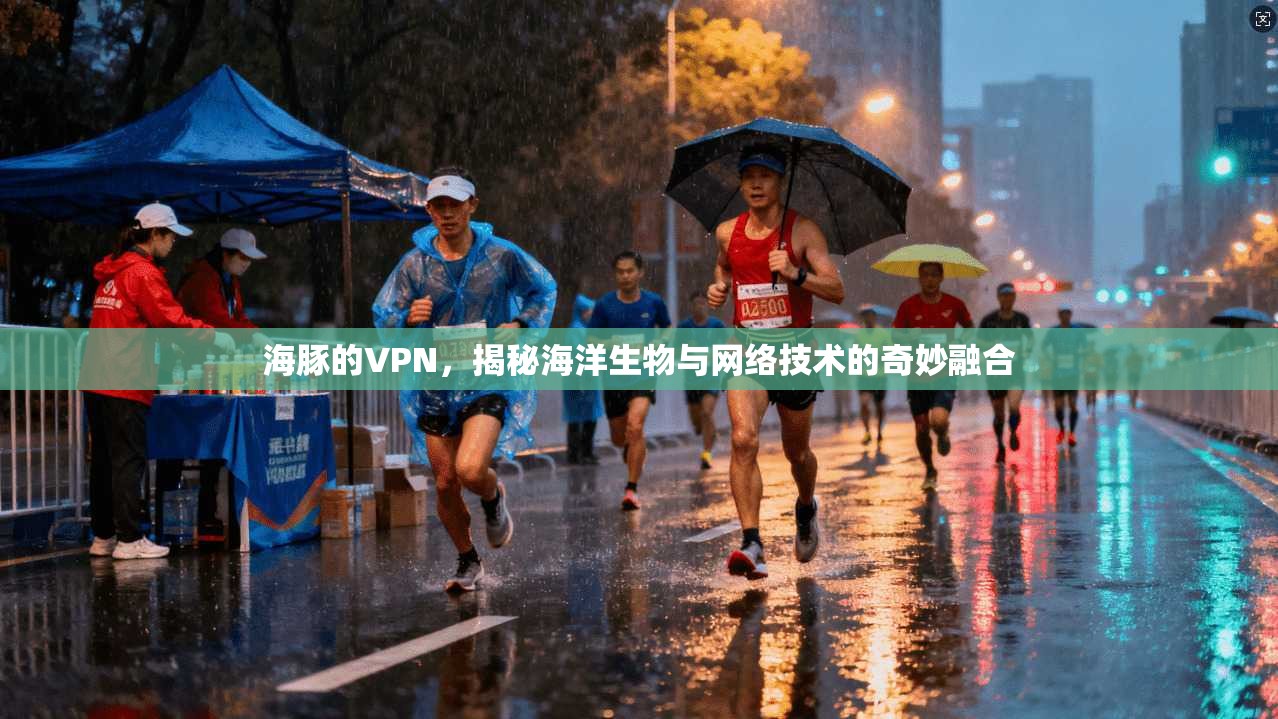 海豚的VPN，揭秘海洋生物与网络技术的奇妙融合