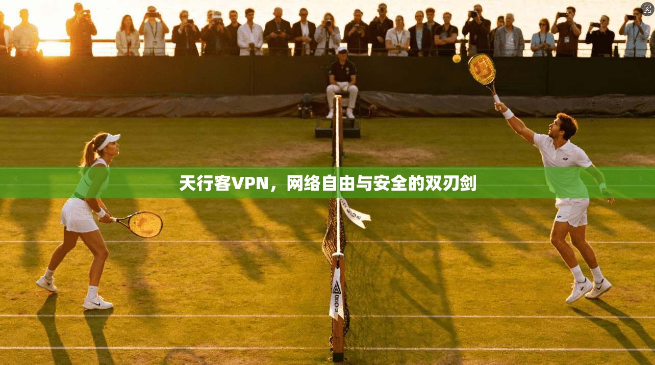 天行客VPN,网络自由与安全的双刃剑