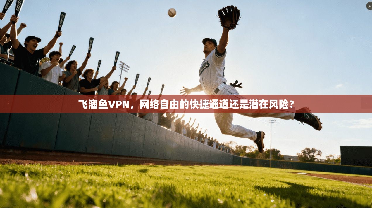 飞溜鱼VPN，网络自由的快捷通道还是潜在风险？