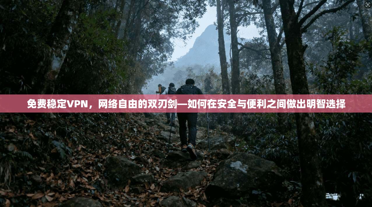 免费稳定VPN,网络自由的双刃剑—如何在安全与便利之间做出明智选择