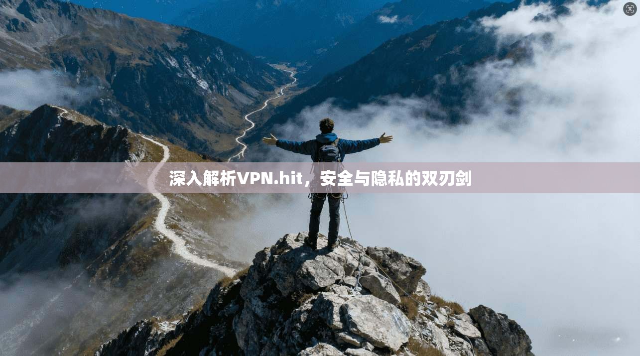 深入解析VPN.hit，安全与隐私的双刃剑