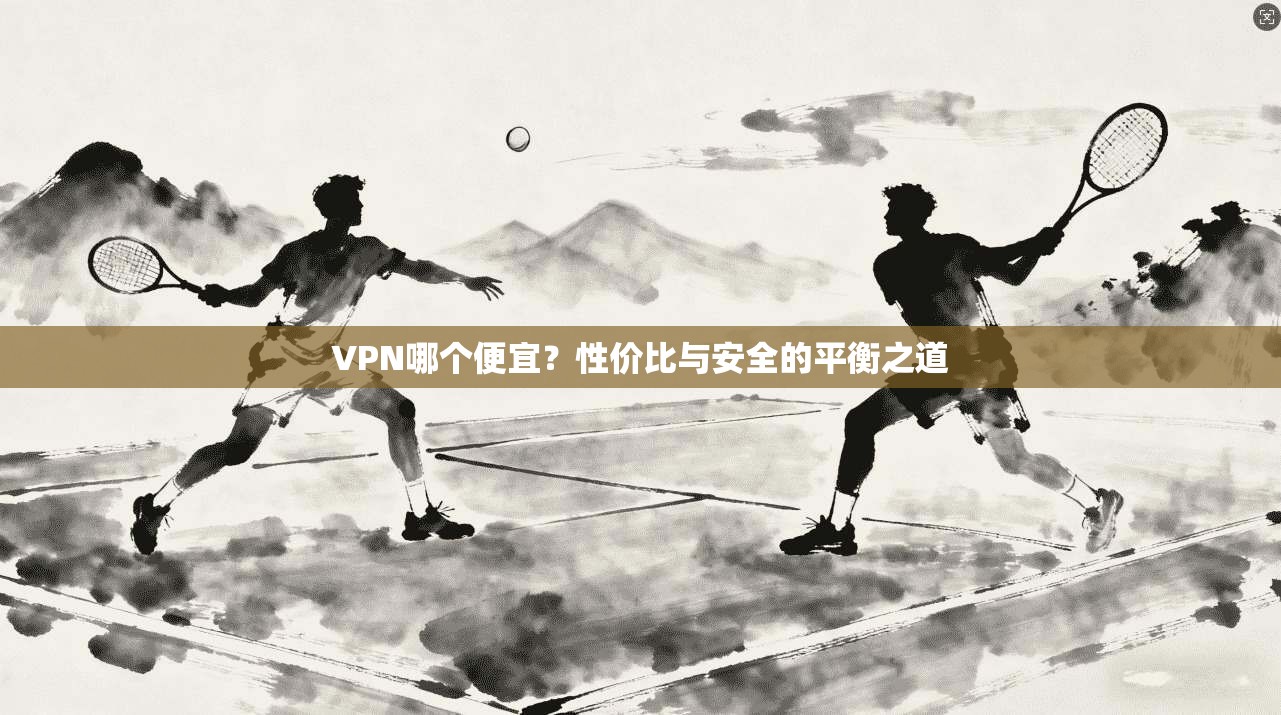 VPN哪个便宜？性价比与安全的平衡之道