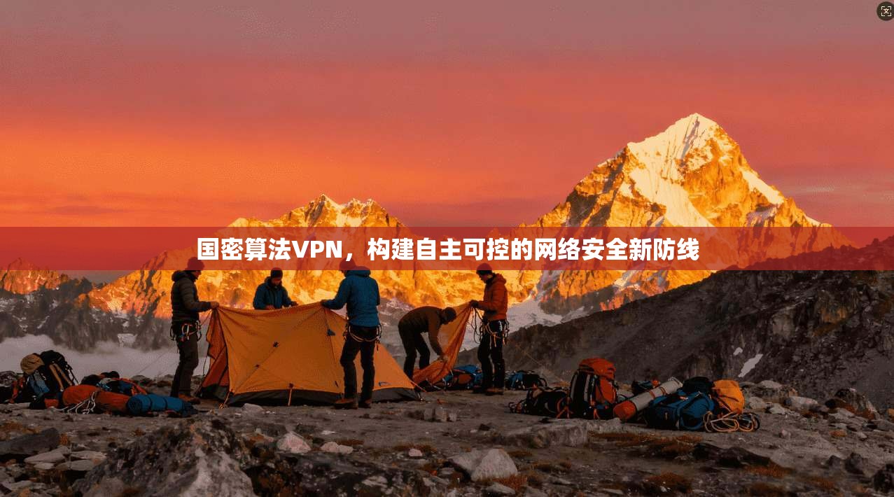 国密算法VPN，构建自主可控的网络安全新防线