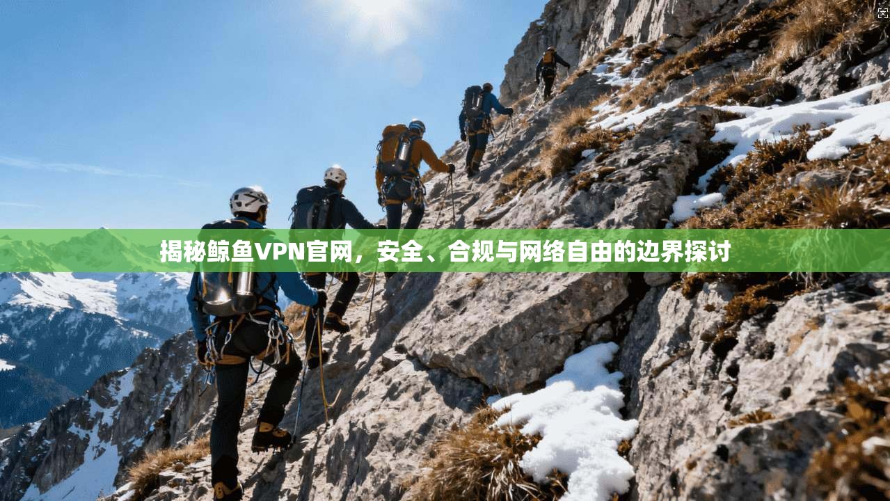 揭秘鲸鱼VPN官网,安全、合规与网络自由的边界探讨