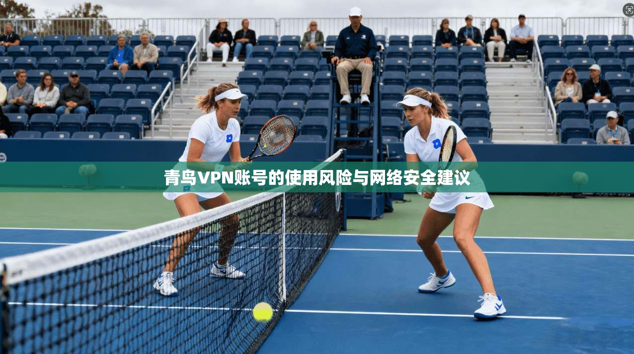 青鸟VPN账号的使用风险与网络安全建议