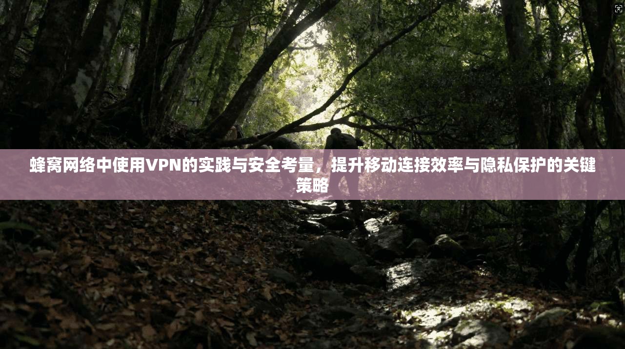 蜂窝网络中使用VPN的实践与安全考量，提升移动连接效率与隐私保护的关键策略