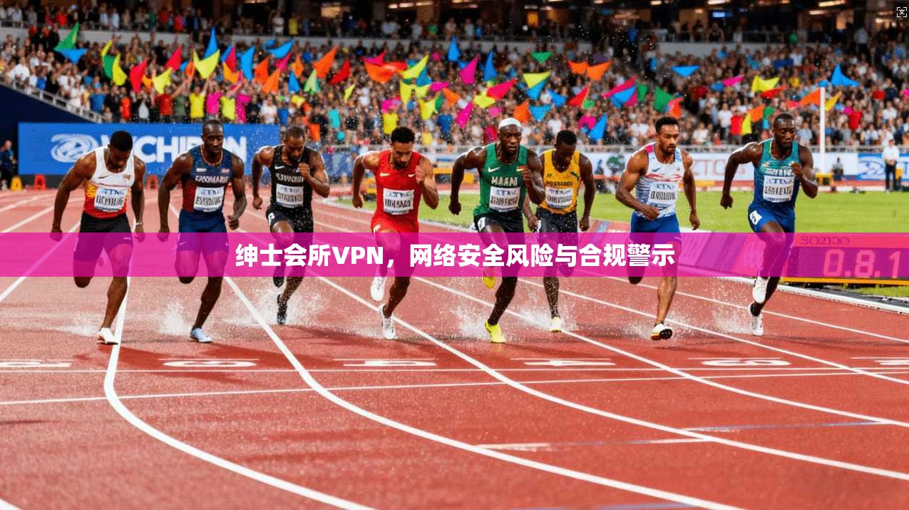 绅士会所VPN，网络安全风险与合规警示