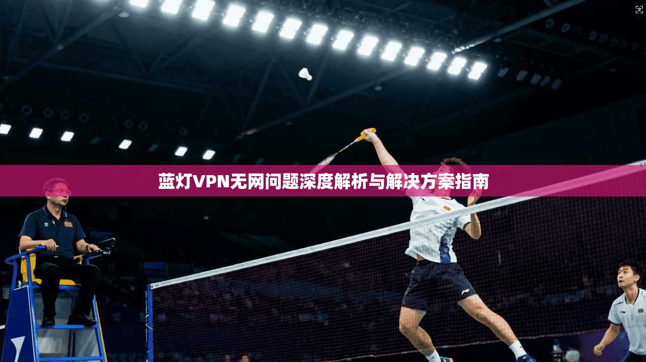 蓝灯VPN无网问题深度解析与解决方案指南