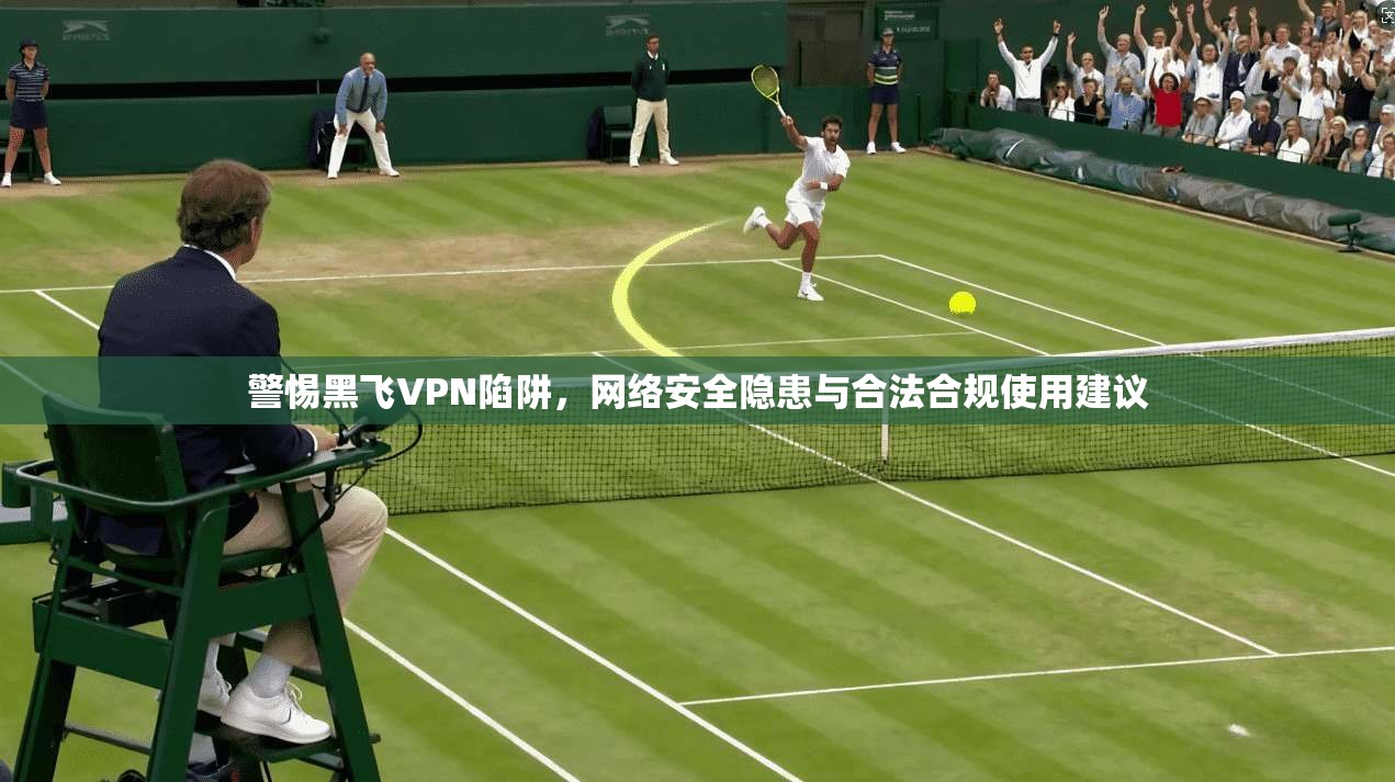 警惕黑飞VPN陷阱,网络安全隐患与合法合规使用建议