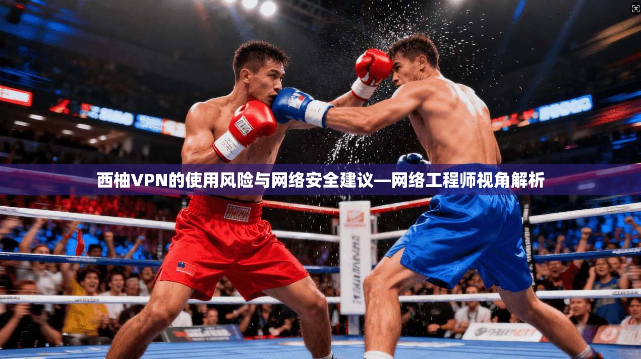 西柚VPN的使用风险与网络安全建议—网络工程师视角解析