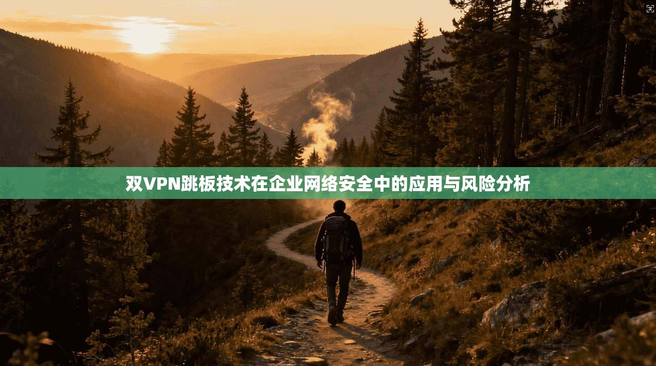 双VPN跳板技术在企业网络安全中的应用与风险分析