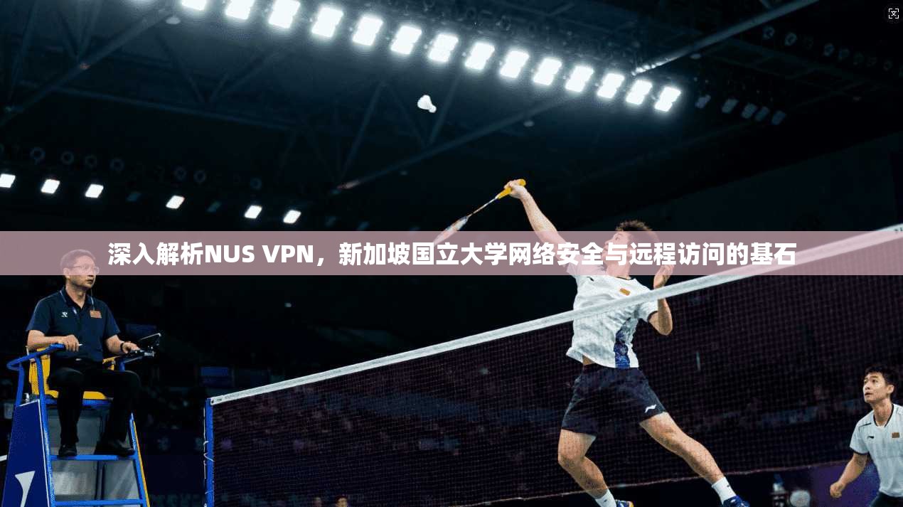深入解析NUS VPN，新加坡国立大学网络安全与远程访问的基石