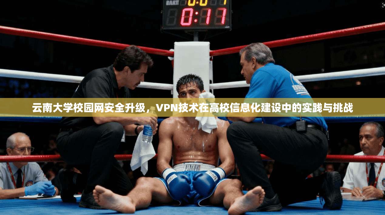 云南大学校园网安全升级,VPN技术在高校信息化建设中的实践与挑战