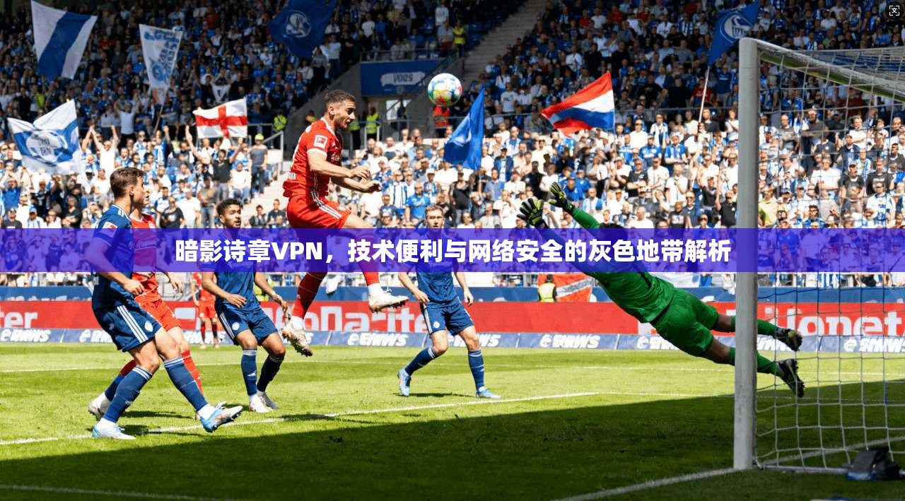 暗影诗章VPN,技术便利与网络安全的灰色地带解析