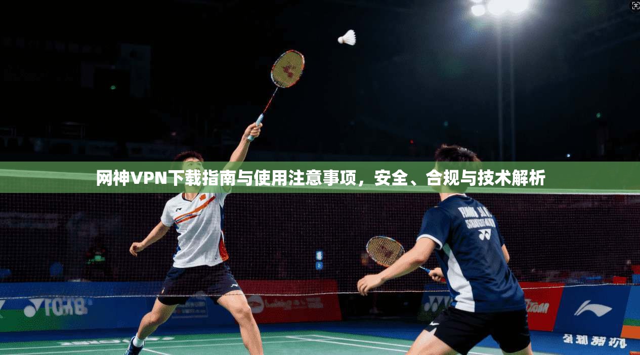 网神VPN下载指南与使用注意事项，安全、合规与技术解析