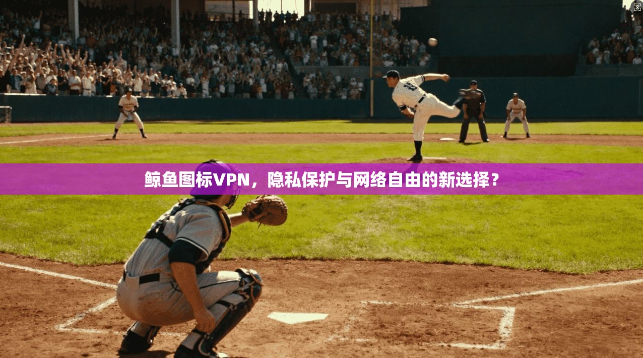 鲸鱼图标VPN，隐私保护与网络自由的新选择？
