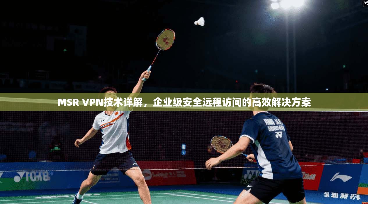 MSR VPN技术详解，企业级安全远程访问的高效解决方案