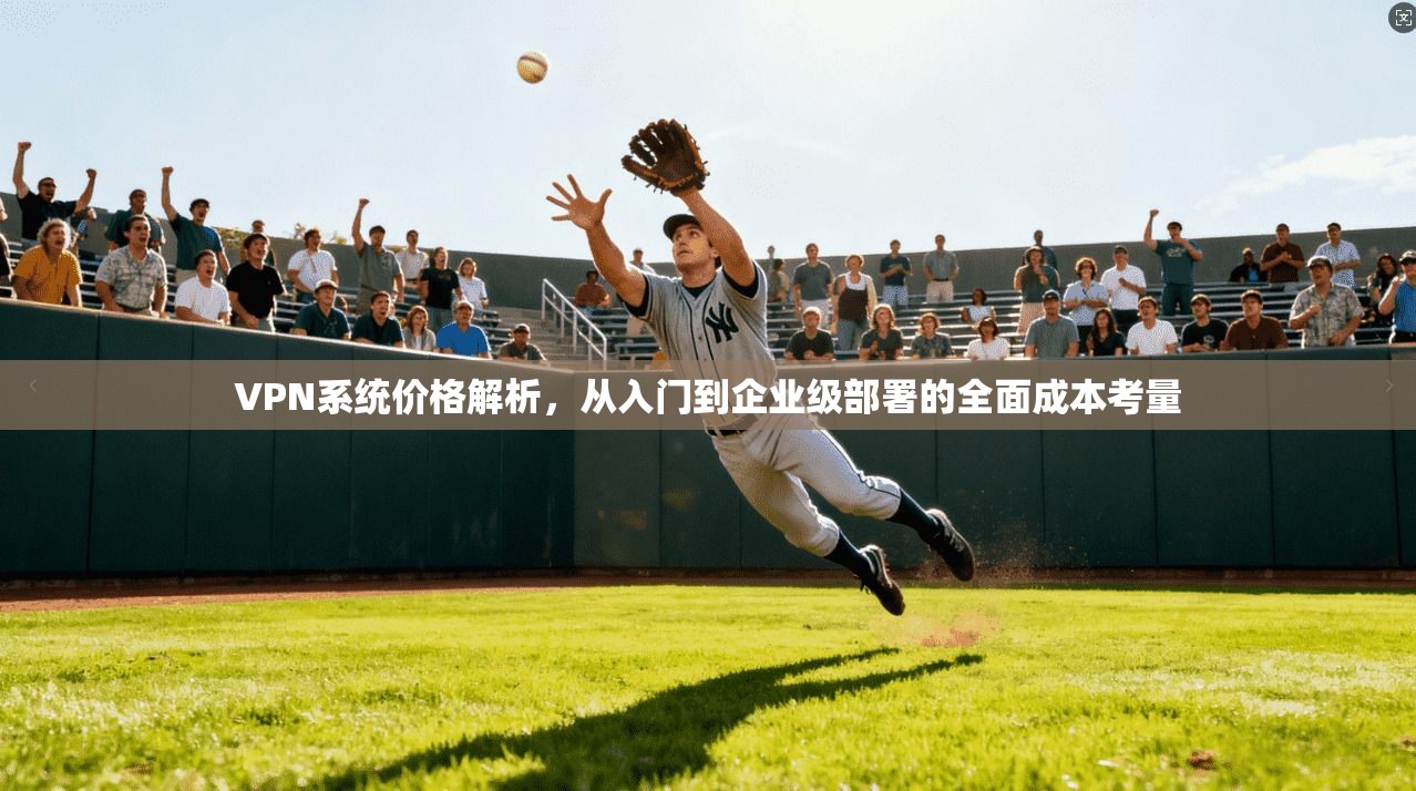VPN系统价格解析，从入门到企业级部署的全面成本考量