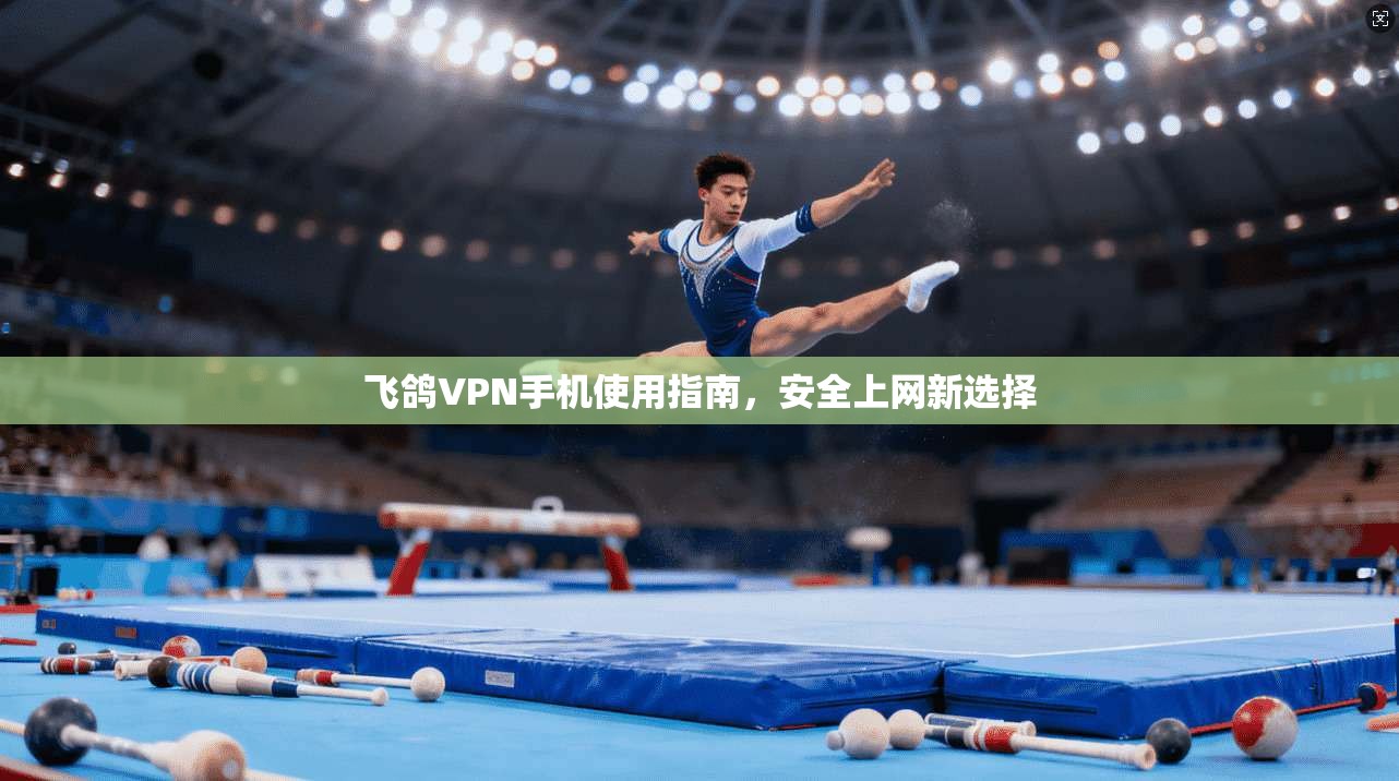 飞鸽VPN手机使用指南，安全上网新选择