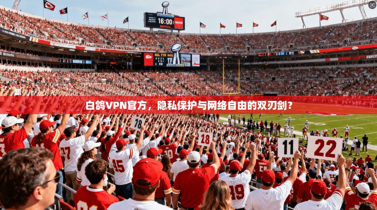 白鸽VPN官方，隐私保护与网络自由的双刃剑？