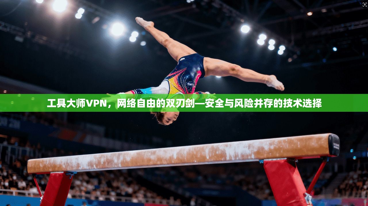 工具大师VPN，网络自由的双刃剑—安全与风险并存的技术选择
