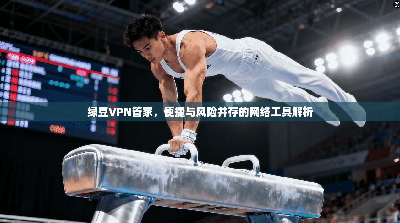 绿豆VPN管家，便捷与风险并存的网络工具解析