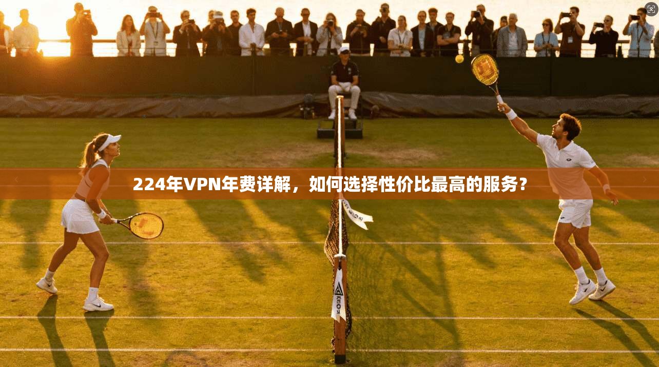224年VPN年费详解，如何选择性价比最高的服务？